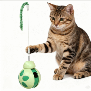 cat teaser want slow feeder