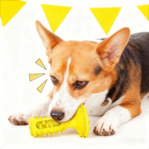 dog chew ball indoor vacuum cup