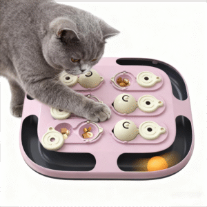 cat track toy treasure hunt