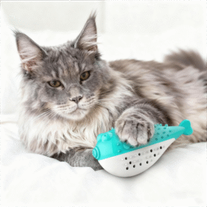 cats chew toys with sound