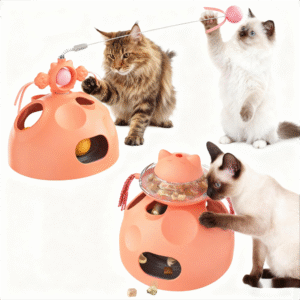 cat teaser want spin