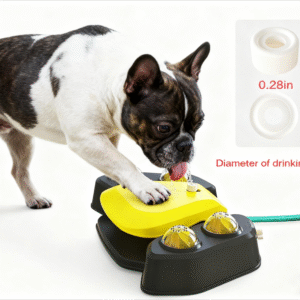 dog water dispenser outdoor