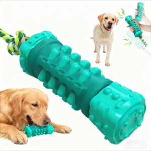 dog chew toy molar road with sound