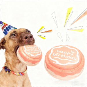 dog chew toy with sound birthday